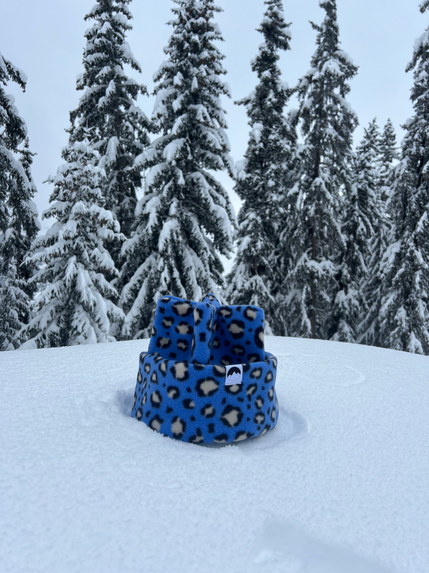 Blue Leopard
