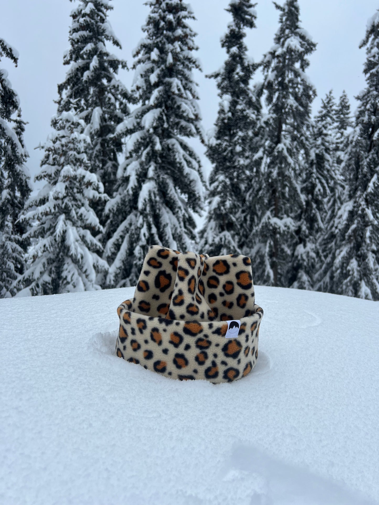 Leopard